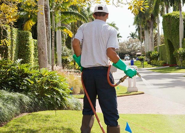 About Inkster MI Pest Control Pros